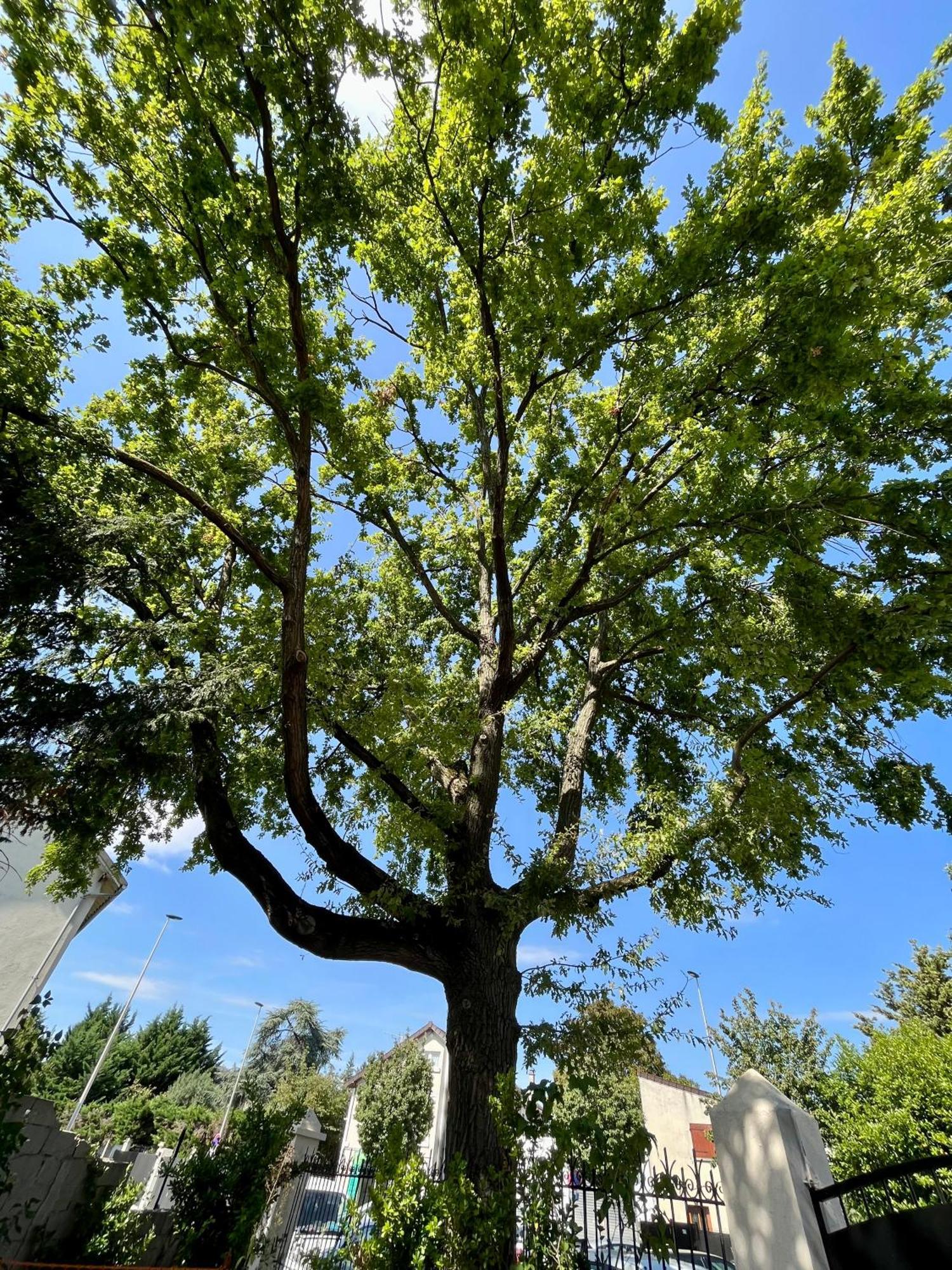 欧奈索斯博伊斯Cosy House Near Paris, Cdg Airport + Parking别墅 外观 照片